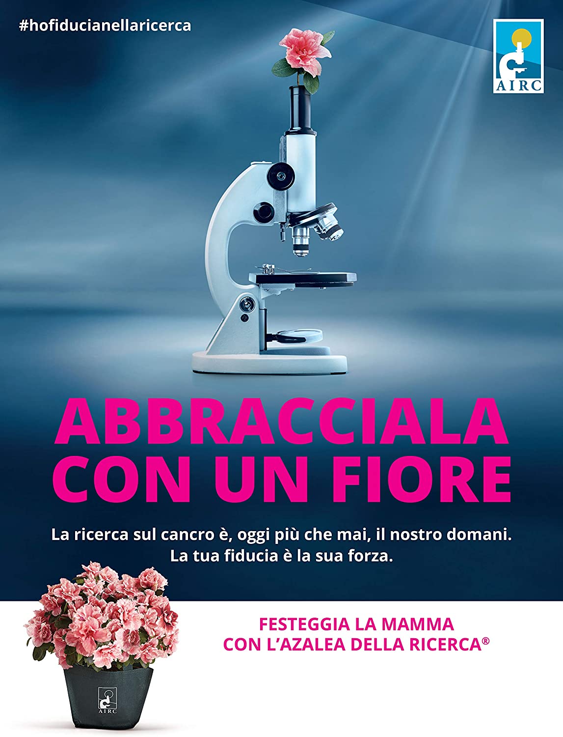 Azalea della ricerca Piscina di Vazzola